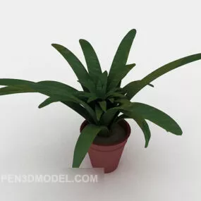 Green Potted Plant Tree 3d model