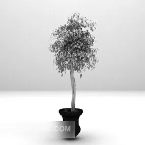 Indoor Green Potted Plant Furniture 3d model