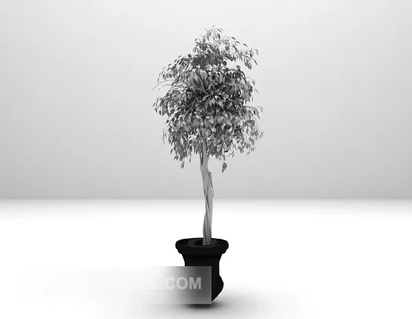 Indoor Green Potted Plant Furniture 3d model Indoor Green Potted Plant Furniture 3d model