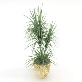 Green Small Potted 3d model