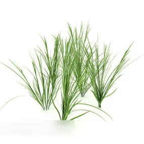 Green Thatch Plant Tree 3d model