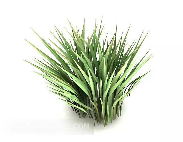 Outdoor Green Leaf Plant 3d model Outdoor Green Leaf Plant 3d model