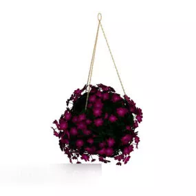 Hanging Indoor Potted 3d model