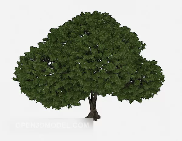 Red Heart Shape 3d model