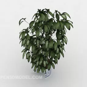 Home Bonsai Decor 3d model