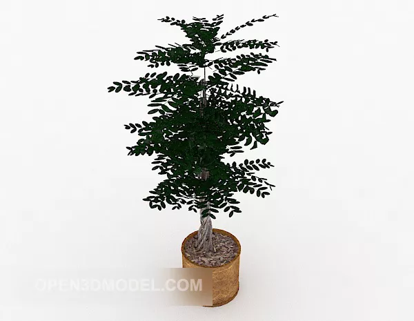 Home Courtyard Bonsai 3d model Home Courtyard Bonsai 3d model