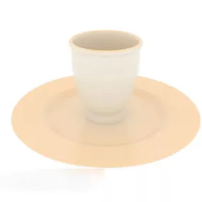 Home Dish With Tea Cup 3d model