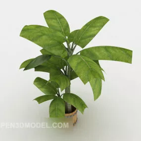 Home Common Bonsai Set Up 3d model