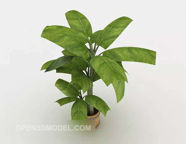 Home Common Bonsai Set Up 3d model Home Common Bonsai Set Up 3d model