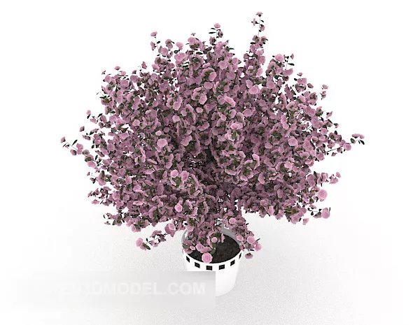 Purple Flower Potted 3d model Purple Flower Potted 3d model