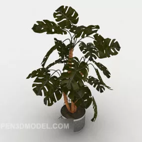 Home Decorative Potted 3d model
