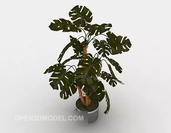 Home Decorative Potted 3d model Home Decorative Potted 3d model