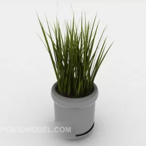 Home Green Plant Potted Plant 3d model