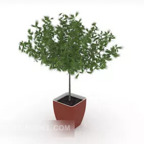 Home Green Simple Potted 3d model