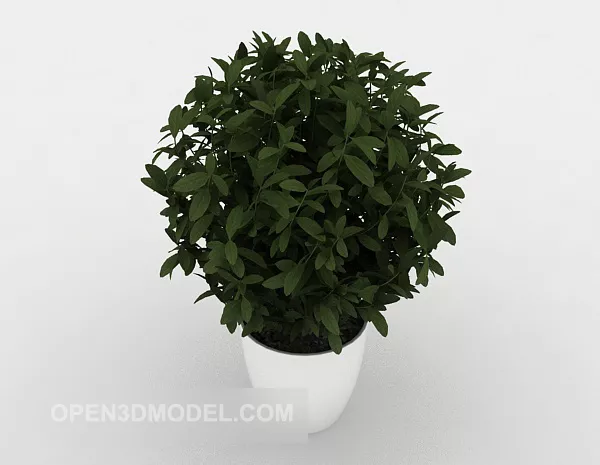 Home Green Small Potted Plant 3d model Home Green Small Potted Plant 3d model