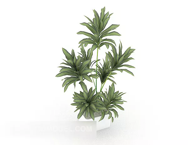 Common Home Indoor Potted Tree 3d model Common Home Indoor Potted Tree 3d model