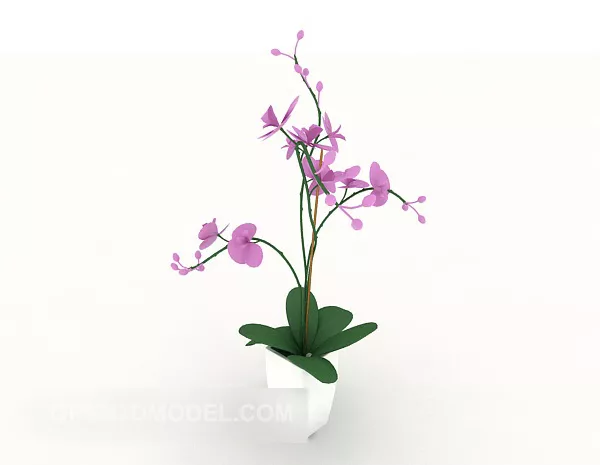 Pink Tiger Lily Flower 3d model
