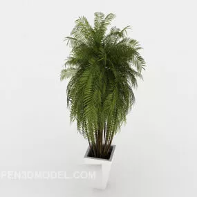 Home Potted Decoration 3d model