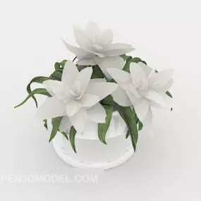 Home Potted Installation 3d model