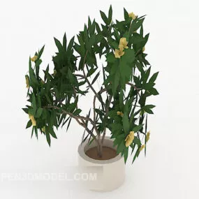 Home Simple Indoor Potted 3d model