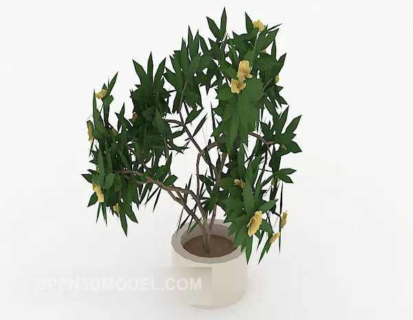 Home Simple Indoor Potted 3d model Home Simple Indoor Potted 3d model