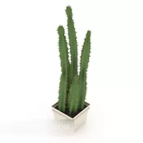 Indoor Cactus Potted Furniture 3d model