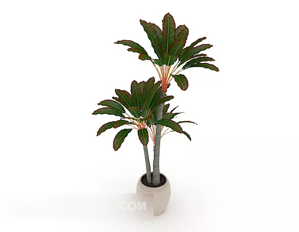 Indoor Common Potted 3d model Indoor Common Potted 3d model