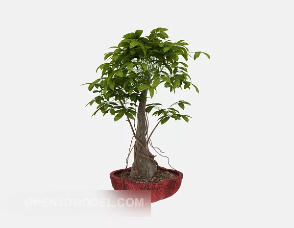 Indoor Green Plant 3d model Indoor Green Plant 3d model