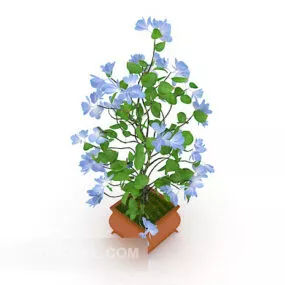 Indoor Orchid Potted Flower 3d model