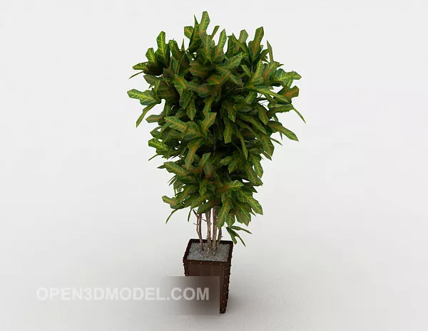 Indoor Courtyard Potted Tree 3d model Indoor Courtyard Potted Tree 3d model