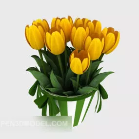 Indoor Flower Plant 3d model