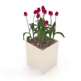 Indoor Home Potted With Flower 3d model
