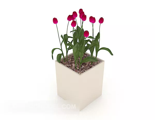 Indoor Home Potted With Flower 3d model Indoor Home Potted With Flower 3d model