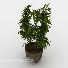 Indoor Ornamental Plant For Office 3d model