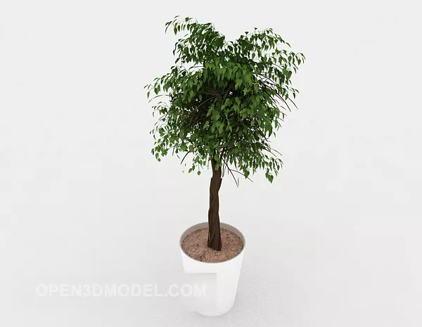 Indoor Plant Potted 3d model Indoor Plant Potted 3d model