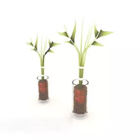 Indoor Plant Set Up 3d model