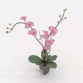 Indoor Potted 3d model
