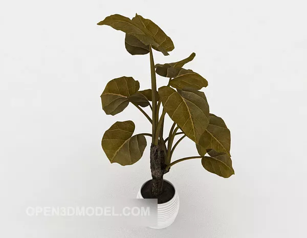 Indoor Simple Common Potted 3d model Indoor Simple Common Potted 3d model