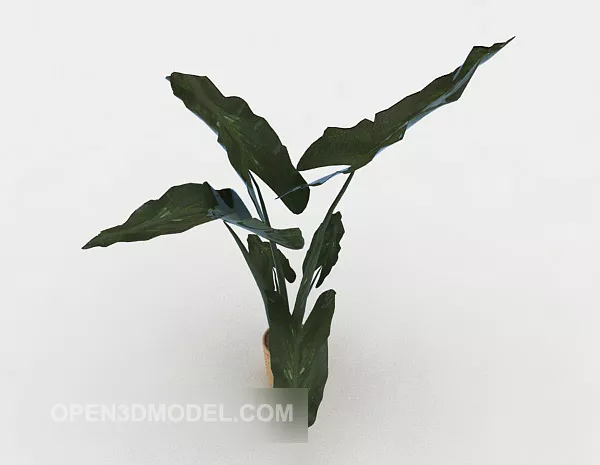 Indoor Simple Small Bonsai Big Leaf 3d model Indoor Simple Small Bonsai Big Leaf 3d model