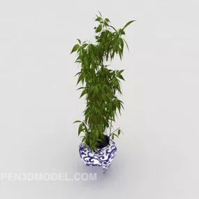 Indoor Viewing Potted 3d model