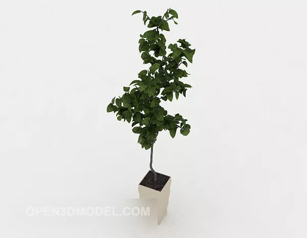 Interior Decoration Bonsai 3d model Interior Decoration Bonsai 3d model