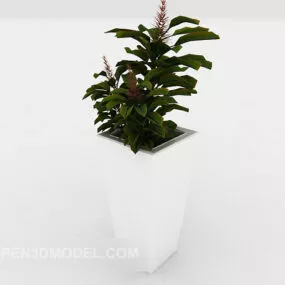 Interior Green Decorative Potted 3d model