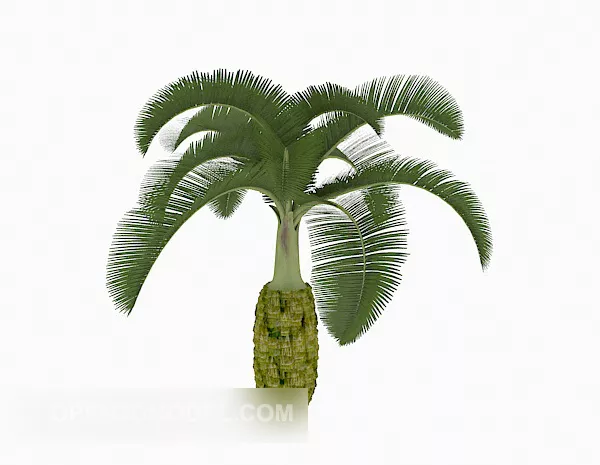Lowpoly Palm Trees On Beach 3d model