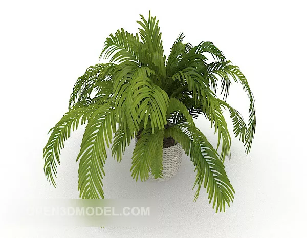 Iron Tree Plant Potted 3d model Iron Tree Plant Potted 3d model