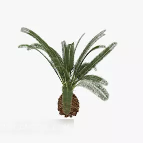Garden Small Palm Tree 3d model