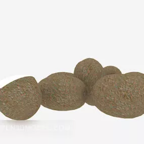 Nature Kiwi Fruit 3d model