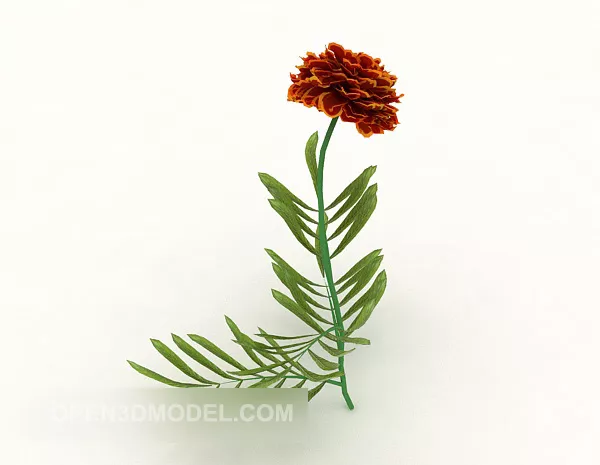 Large Chrysanthemum Flower Tree 3d model Large Chrysanthemum Flower Tree 3d model