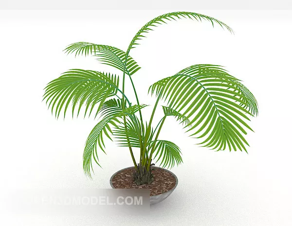 Large Pot Indoor Potted 3d model Large Pot Indoor Potted 3d model
