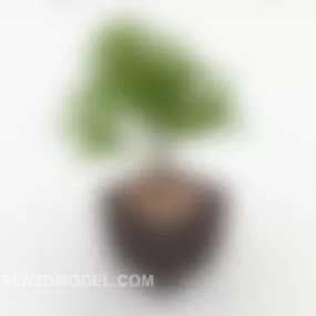 Living Room Decorative Potted 3d model