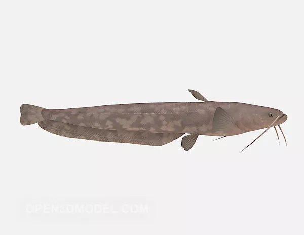 Rainbow Cichlid Fish Animated Rig 3d model